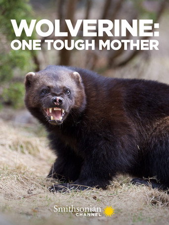 Movie poster for Wolverine: One Tough Mother (2021)