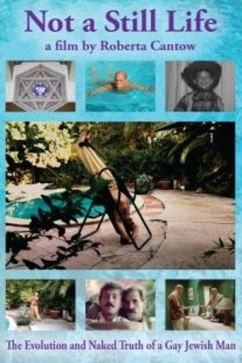 Movie poster for Not a Still Life (2013)