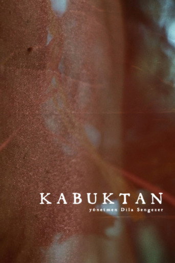 Movie poster for Kabuktan