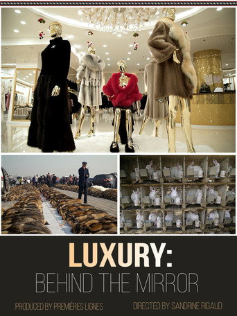 Movie poster for Luxury: Behind The Mirror (2019)