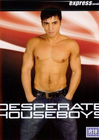 Movie poster for Desperate Houseboys (2009)