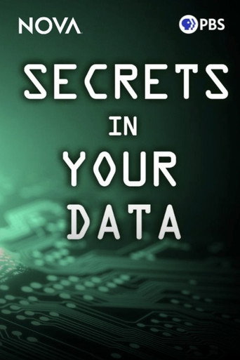 Movie poster for Secrets in Your Data (2024)
