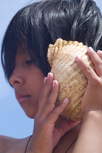 Movie poster for Time and the Seashell (2020)