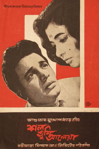 Movie poster for The Survivor (1966)