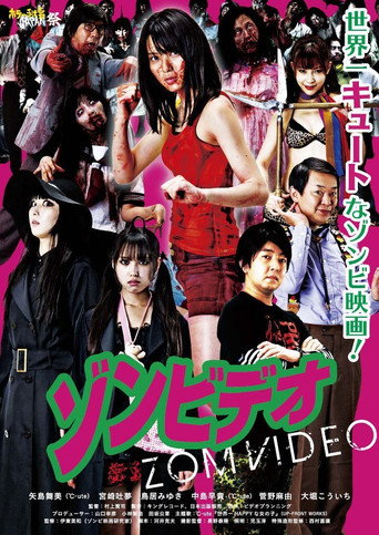 Zomvideo poster