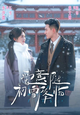 爱意随初雪降临 poster