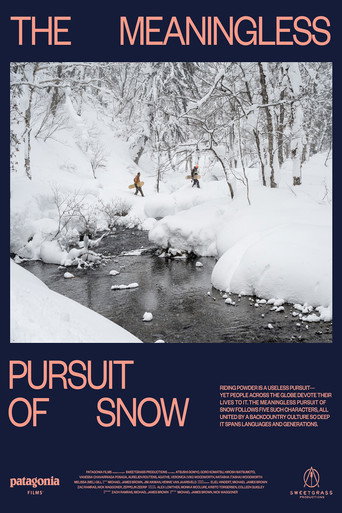 Movie poster for The Meaningless Pursuit of Snow (2023)
