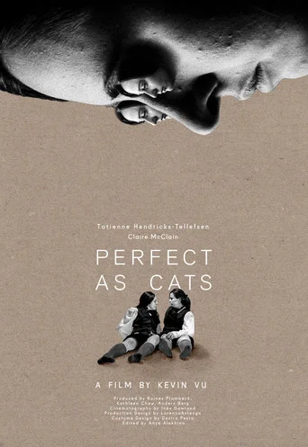 Movie poster for Perfect as Cats (2020)