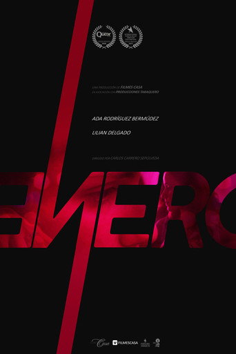 Movie poster for January (2017)