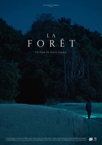 Movie poster for The Forest (2026)