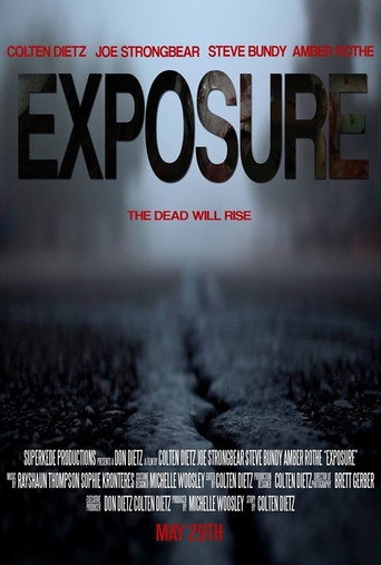 Movie poster for Exposure (2015)