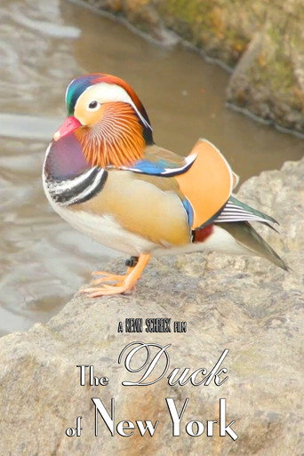 Movie poster for The Duck of New York (2023)
