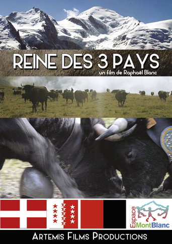 Movie poster for Reine des 3 pays