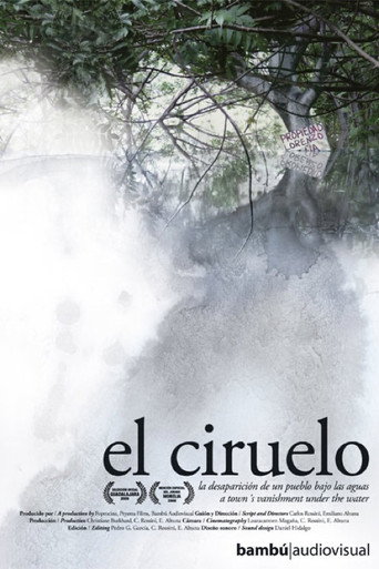 Movie poster for El Ciruelo (2008)