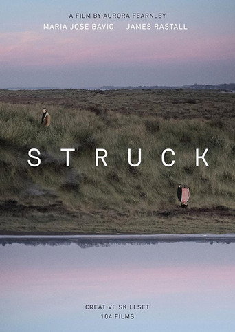 Movie poster for Struck (2017)