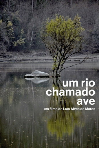 Movie poster for Um Rio Chamado Ave (2012)