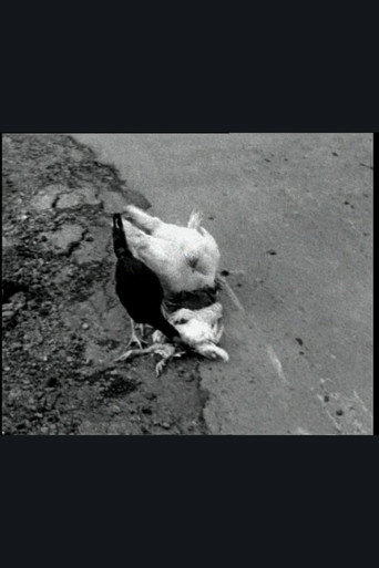 Movie poster for The Delmarva Chicken of Tomorrow (2002)