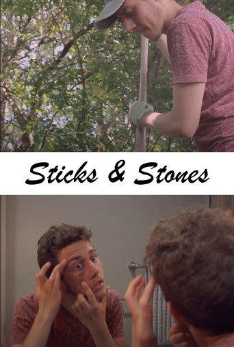 Movie poster for Sticks & Stones (2019)