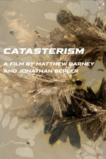 Movie poster for Catasterism (2022)