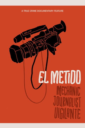 Movie poster for The Meddler (2020)