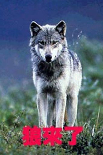 狼来了 poster