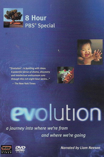Series poster for Evolution (2001)