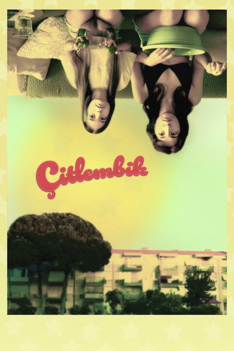 Movie poster for Çitlembik