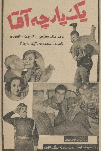 Movie poster for A Perfect Gentleman (1965)