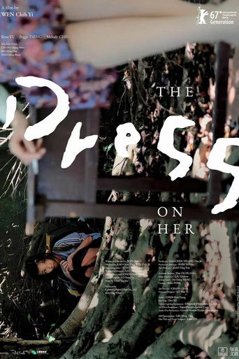 The Dress on Her poster