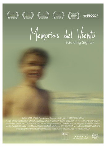 Movie poster for Guiding Sights (2011)