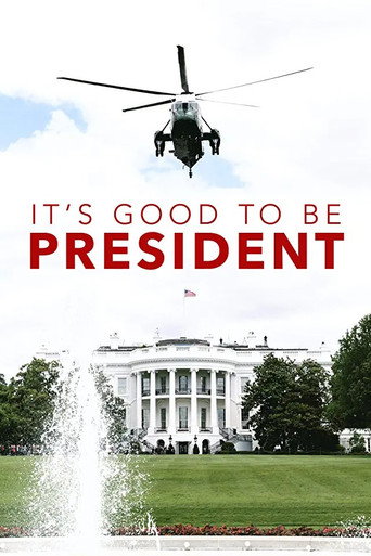 Movie poster for It's Good to Be the President (2011)