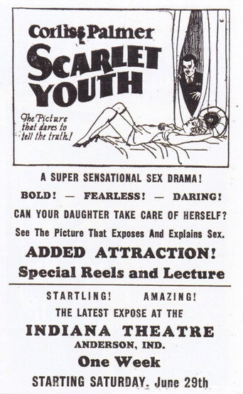 Movie poster for Scarlet Youth (1928)