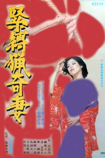 Bizarre Bondage Wife poster