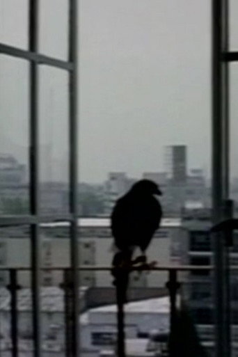 El otro cuarto poster