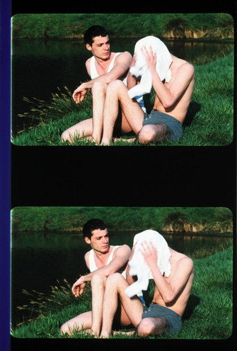 Movie poster for Le démon du passage (1995)