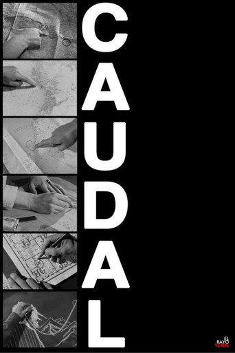 Movie poster for Caudal (2024)