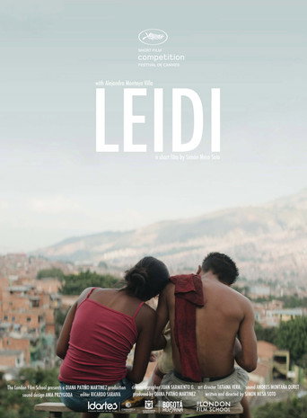 Movie poster for Leidi (2014)