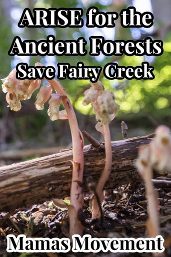 Movie poster for ARISE for the Ancient Forests | Save Fairy Creek