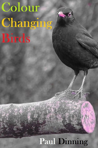 Movie poster for Colour Changing Birds (2023)