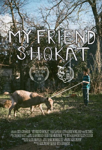 Movie poster for My Friend Shokat (2018)