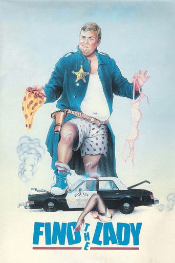 Find the Lady poster