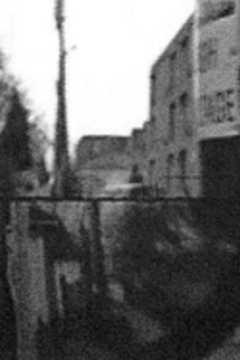 Blue Decoding poster