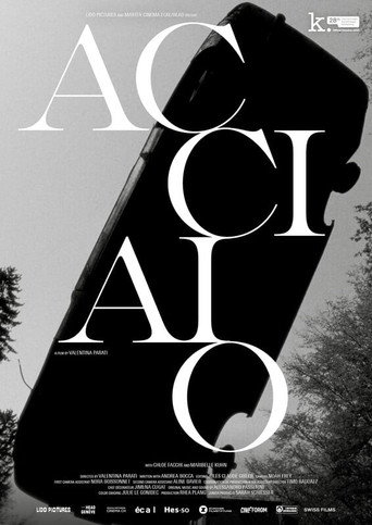 Movie poster for Acciaio (2024)