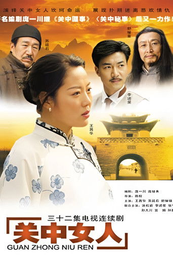 关中女人 poster