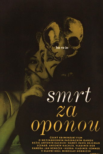 Death Behind a Curtain poster