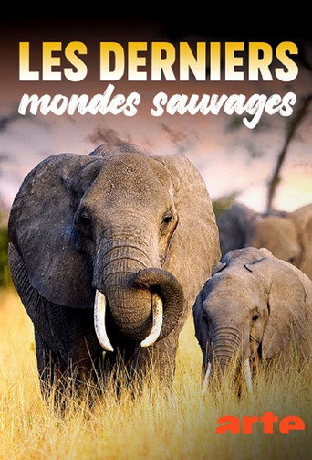 Series poster for Les Derniers Mondes Sauvages (2025)