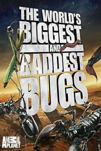 Movie poster for The World's Biggest and Baddest Bugs (2009)