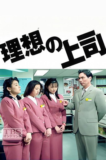 The Perfect Boss poster