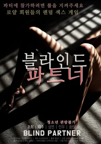 Movie poster for Blind Partner (2020)