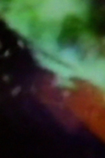 Movie poster for Bent Light (1976)